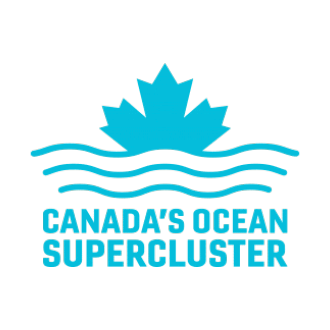Ocean Supercluster Scaled
